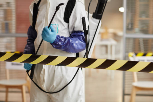 Professional Blood Cleanup technician working in Pebble Beach, CA